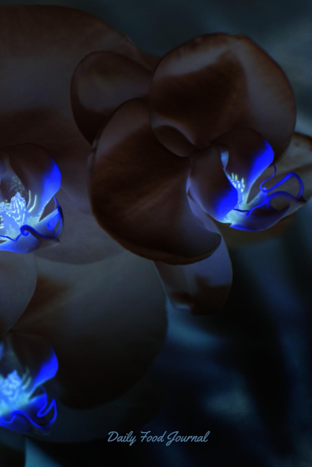 Daily Food Journal: Calorie and Weight Tracker, Food Diary, Record what you eat and drink each day