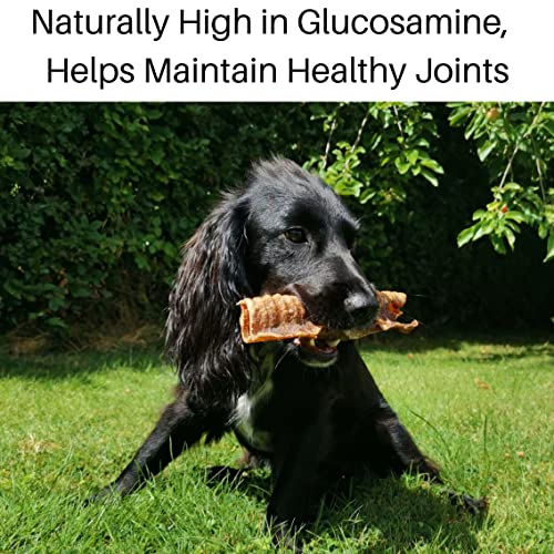 10 Premium Beef Trachea for Dogs by Britten and James (approx 750g) - Medium Trachea 14-20cm. Natural Healthy Air Dried Dog Chew Treat - Image 2