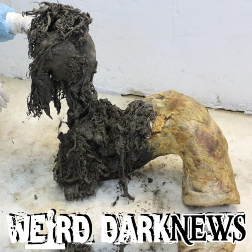 Scientists Extract 40,000-Year-Old RNA From Frozen Mammoth – What They Found Is Incredible cover art