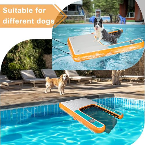 DiDiBirDi Hunde Wasserrampe, Extra Große Aufblasbare Wasserrampe Pool Leiter, Extra Breite Wasserrampe Welpen-Planke, Pools und Docks, Leitern und Stufen zum Schwimmen von Haustieren bis 100 kg