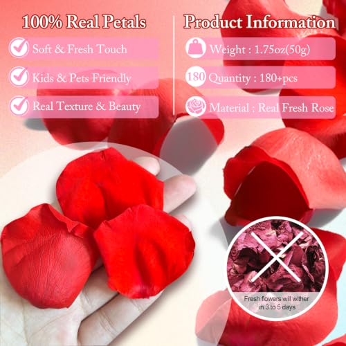 Real Red Rose Petals, Preserved Flower Petals for Romantic Night,180+PCS - image 3