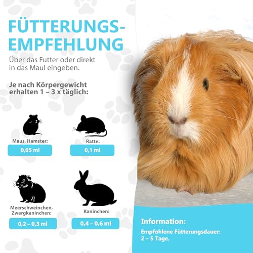 Alfavet RodiCare Appetit für schlecht fressende Nager, Ergänzungsfuttermittel für Kaninchen, Meerschweinchen und Kleinnager, 15 ml mit Dosierspritze