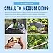 Harrison's Bird Foods HOPP Premium Pellets – Organic, Nutritionally Balanced Food for Small to Medium Pet Birds, Cold-Pressed, Low Fat, Vet-Developed, 5LB