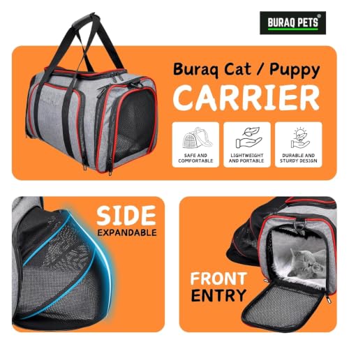 Image of BURAQ Astronaut Space Transparent Capsule Breathable Airline-Approved, Ventilate Transparent Carrier Backpack with Leash for Travel (Green)