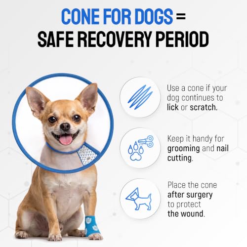 Image of SILVER GRADE Dog Cone Collar for Puppies & Toy Breeds, Size M, 12.2-14.2 in