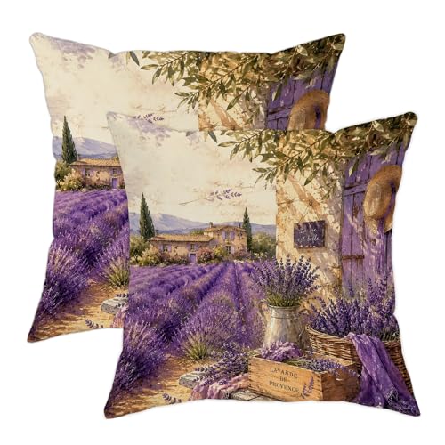 Fundas de almohada de color lavanda para exteriores, estilo cesta rústica de verano violeta lavable a máquina, fundas de almohada para patio, porche, terraza, muebles de exterior, 22 x 22 pulgadas