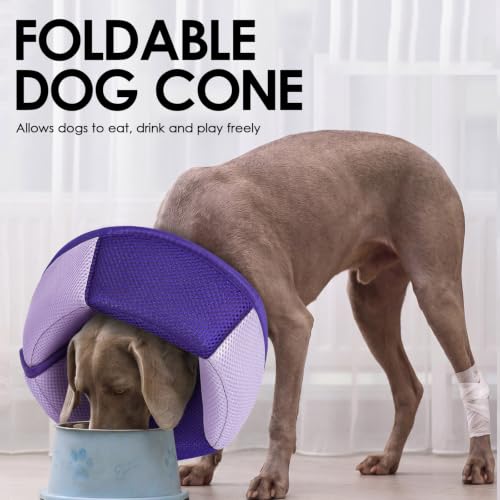Image of AOFITEE Dog Cone - Soft Cone for Dogs to Stop Licking After Surgery, Foldable Small Dog Cone Collar, Adjustable Cones for Dogs for Wound Healing, Elizabethan Pet E-Collar, Purple Small