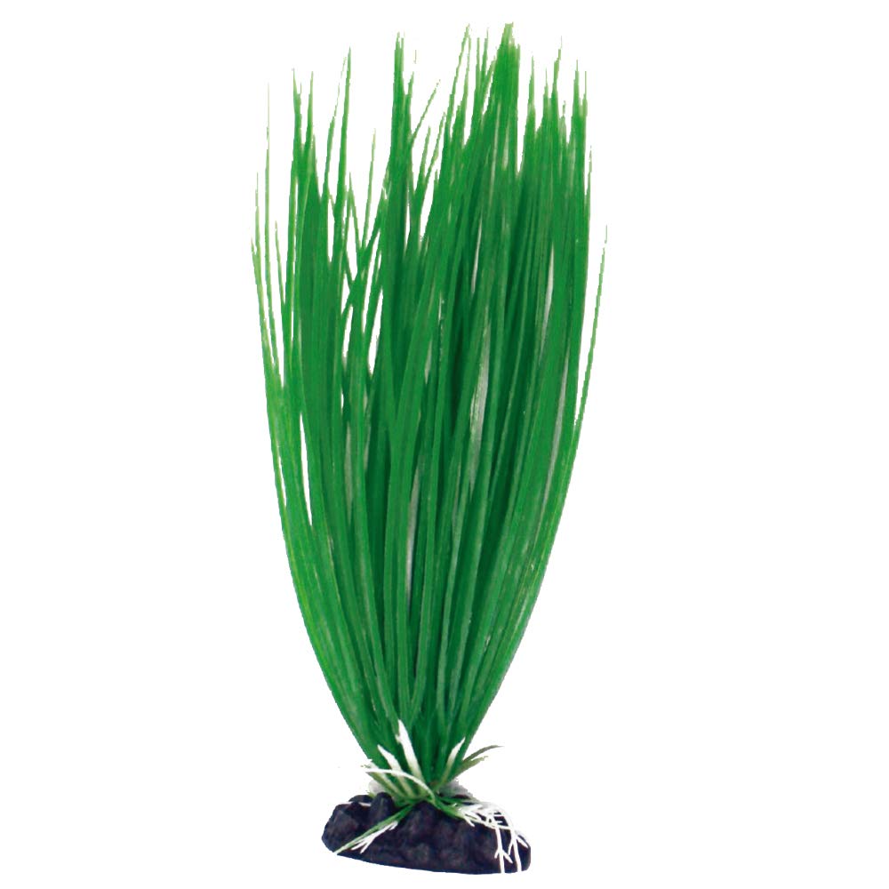 Amtra Deko Plant Acorus - Decorazione pianta Finta atossica per Acquari, Accessorio Ornamentale subacqueo, Decorativo rifugio nascondiglio, Dimensione 35 * 12,5 * 3,5 cm