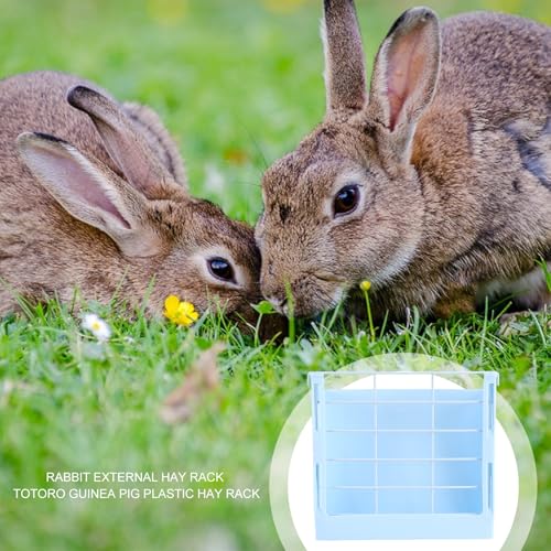 Soporte para comedero de conejos y cobayas de plástico resistente azul claro 3