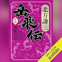Couverture de 岳飛伝　十六　戎旌の章