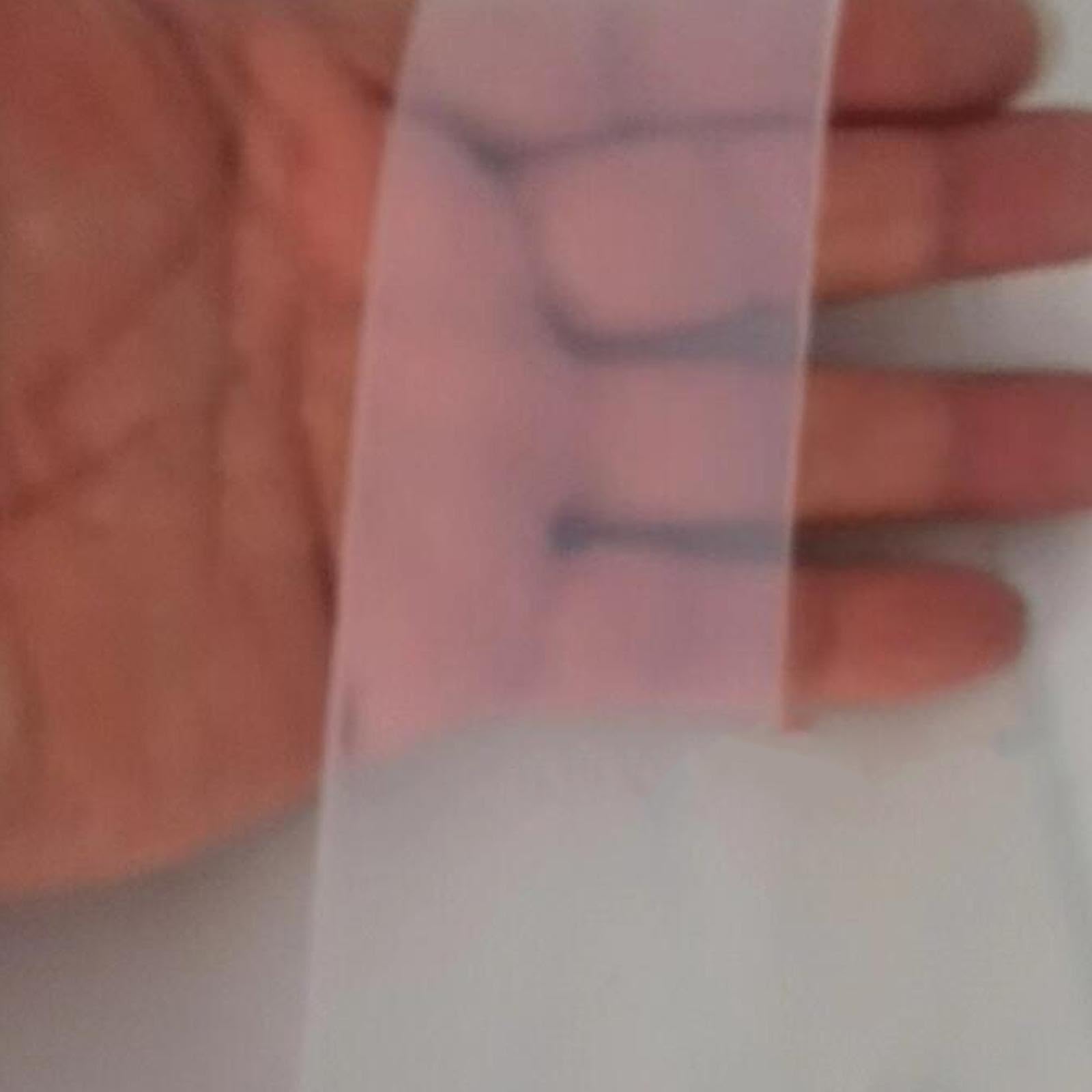 QSTDGVPW Diving Weight Belt Snorkeling Waist Belt Clear 130 cm Length Adjustable with Metal Buckle for Scuba Diving Spearfishing