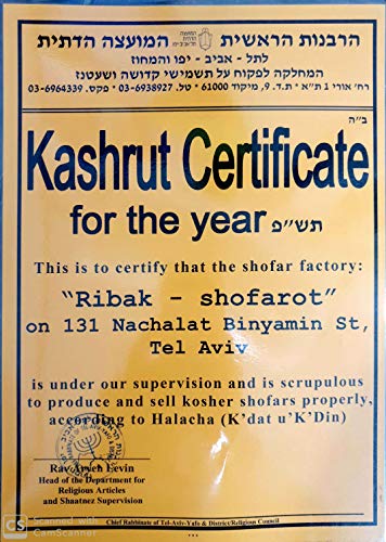 New Shofarot Israel Kosher Yemenite Kudo kudu Shofar Size 24