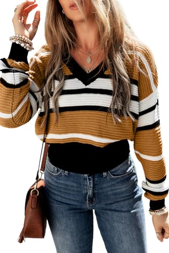 Women's Brown Striped V-Neck Textured Knit Sweater2