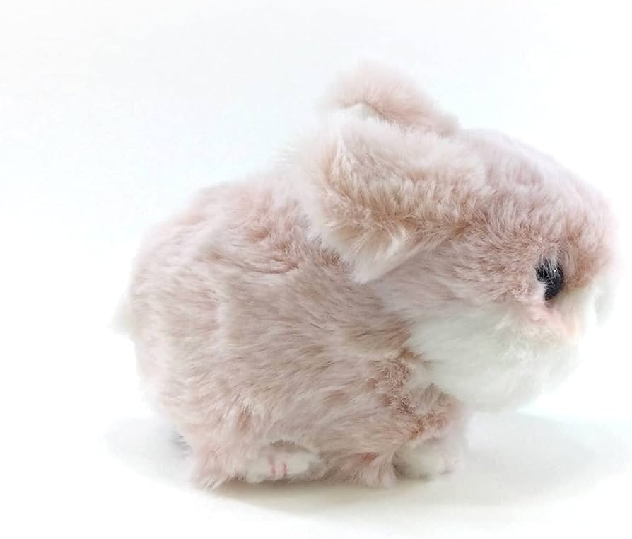 Amazon.co.jp: キュート販売 ぬいぐるみ こうさぎ うすピンク F0240