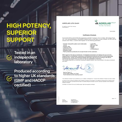 L-Carnitine 3000-180 High-Strength Capsules with Vitamin C - L-Carnitine Tartrate 3000mg per Daily Dose - Energy & Metabolism Support - Vegan, Natural & Laboratory Tested - Raibu - Image 5