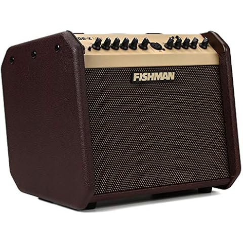 Fishman Loudbox Mini BT 60-Watt 1x6.5 Inches Acoustic Combo Cover