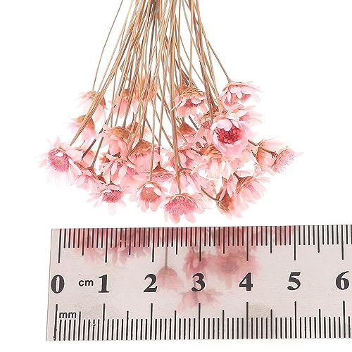 300PCS Flores Secas Pequeñas Margarita Estrella Brasileña miniatura 7