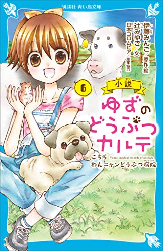 小説 ゆずのどうぶつカルテ ６ こちら わんニャンどうぶつ病院 講談社青い鳥文庫 辻みゆき 伊藤みんご 読み物 Kindleストア Amazon
