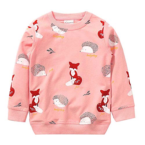 DHASIUE sudadera de algodón suave para niñas de 1 a 7 años Pink Fox 2-3 Años Cover