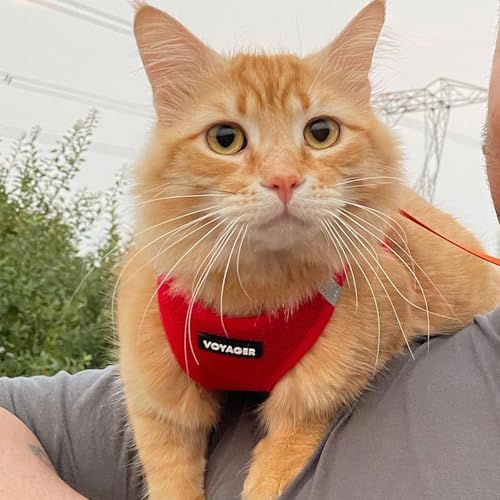 Image of Voyager Step-in Pet Harness - All Weather Mesh, Adjustable Step in Harness for Cats and Dogs by Best Pet Supplies - 307S Red, M