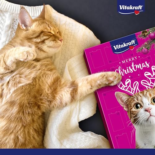 Vitakraft Adventskalender für Katzen, für Weihnachten 2025, liebevoll zusammengestellte Auswahl leckerer Snacks, für die Vorweihnachtszeit, Katzenleckerlis, für alle Altersstufen (1x 363g)