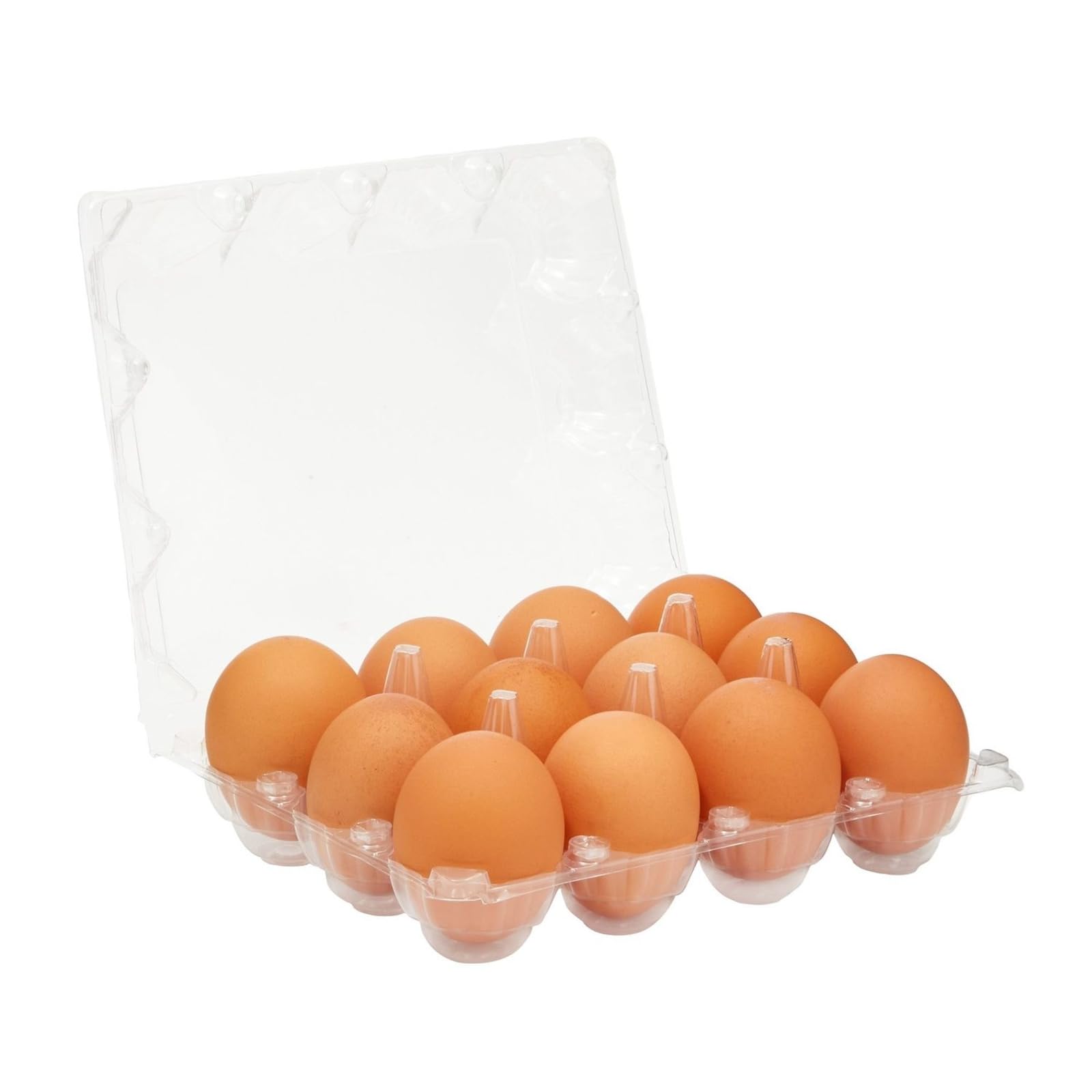 Confezione da 48 cartoni per uova di gallina per 1 dozzina di uova di gallina, contenitori trasparenti riutilizzabili