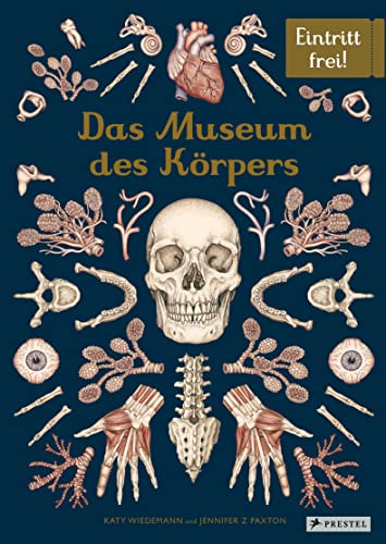 Das Museum des Körpers: Eintritt frei! - Sachbilderbuch im Großformat für Kinder ab 8 Jahren mit prächtigen Illustrationen von Katy Wiedemann zur menschlichen Anatomie