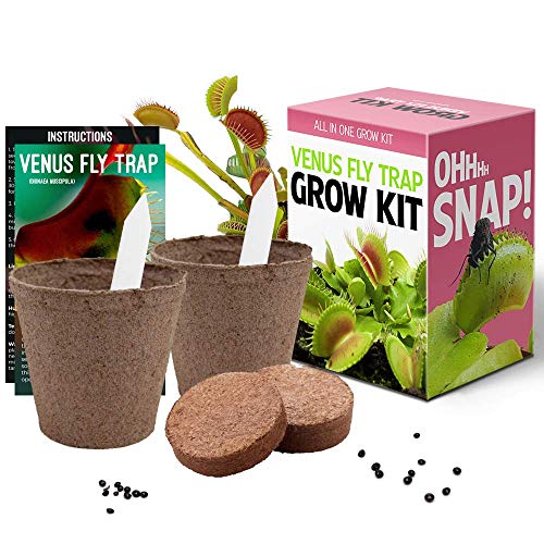 Venus Fly Trap Seeds Growing Kit All In One Carnivorous Plant Growing Kit Gift Grow Your Own Dionaea Muscipula Buy Online In Botswana At Desertcart