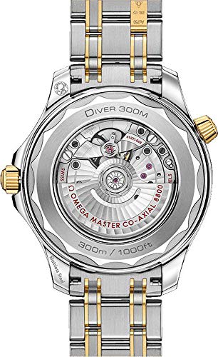 Omega Seamaster Sedna Blue Dial Steel and 18kt Yellow Gold Watch 210.20.42.20.03.0012