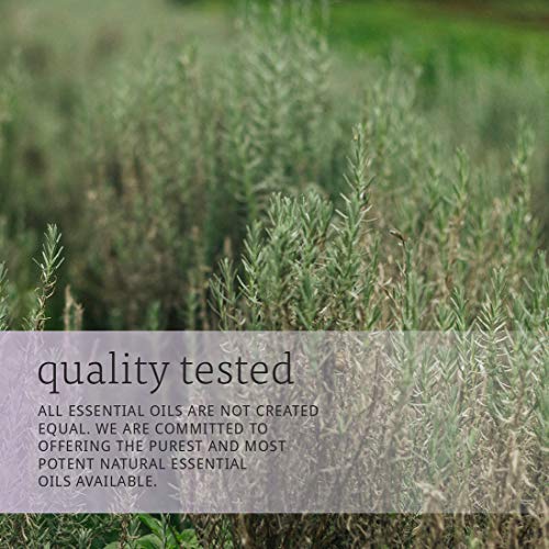 image for Now Foods NOW Essential Oils, Rosemary Oil, 2-Ounce, 2 Fl Oz (Pack of 