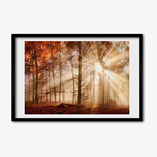 Affiche photo cadre bois 60x40 tableau forêt brouillard automne moderne