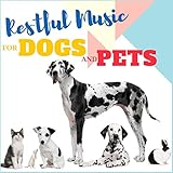 Leisure Music