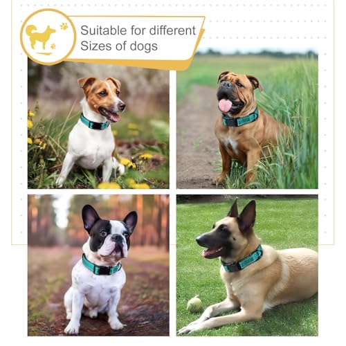 HEELE Hundehalsband, Hundehalsband aus Nylon, Reflektierend Halsband Hund mit Weich Neopren Gepolstert für Welpen Kleine Mittel Große Hunde Läng Einstellbereich 26-38cm, Türkis, S