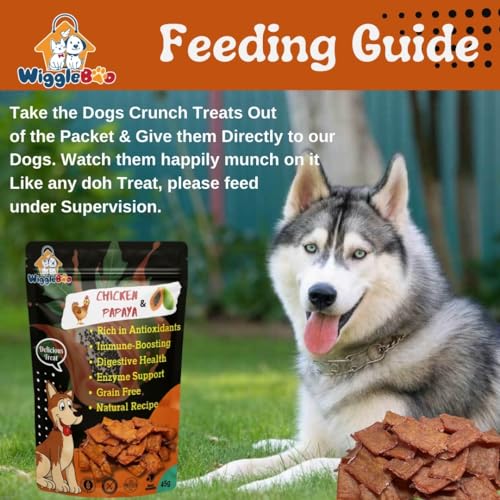 Image of Chicken & Papaya Dog Treat | Protein Rich | Fiber Rich | Crunchy Healthy Snacks | Training Treat | 45gm