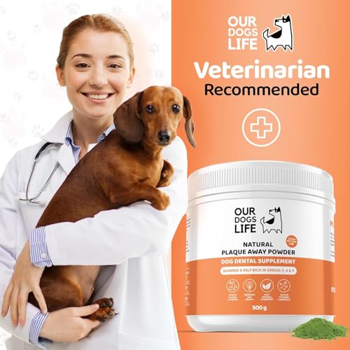 Plaque Off Pulver für Hunde 500g | Natürliche Zahnreinigung | Zahnstein Entferner & Atem Erfrischer | 100% Natürlich | DogsLife