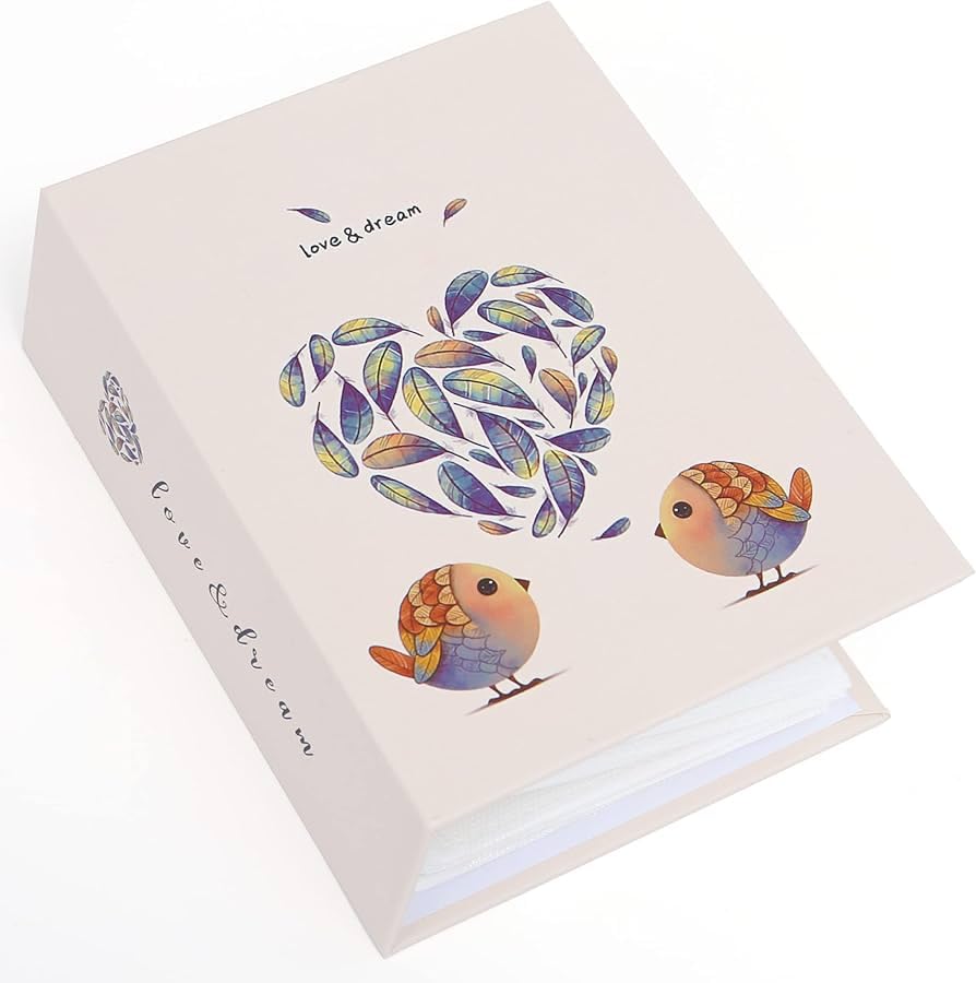 Even Photo Album Book, Album for photos collection, 4 inch x 6 inch (10 x 15 Cm) size Photo collection album with taxture and design on Cover (100 PHOTO SPACE) (love & dream)