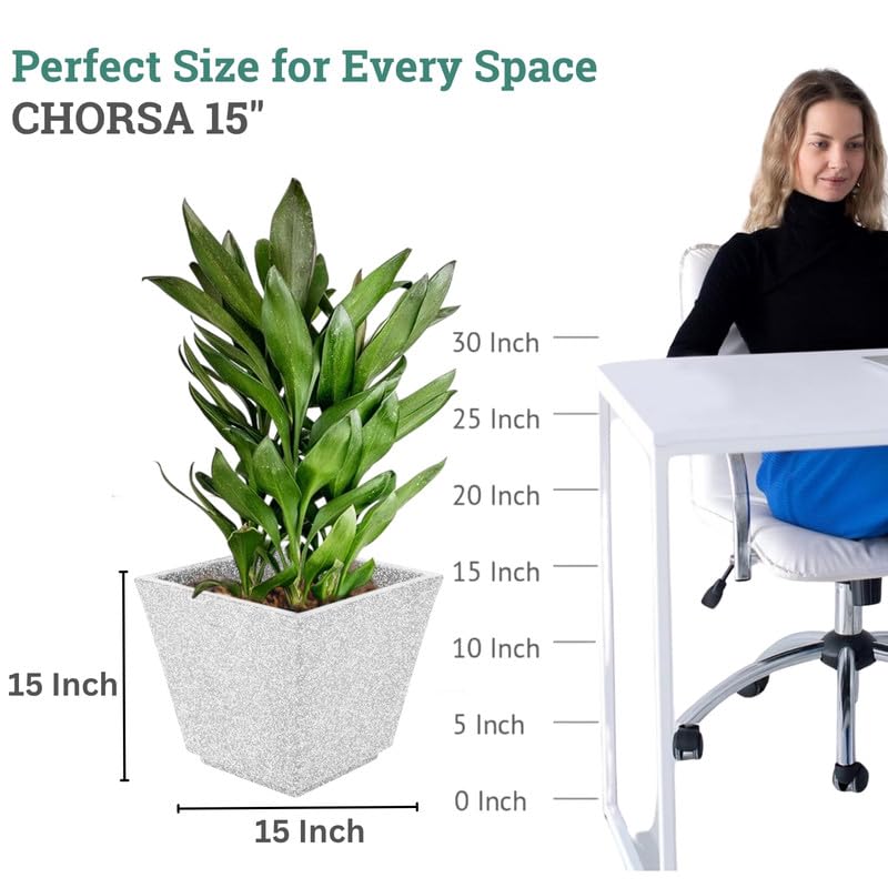 Image of Amazon Brand - Umi 15 Inch Planter Pot | Flower Pot for Indoor & Outdoor Use | Square Shape Planter Pot for Home & Office Decor Balcony & Terrace Gardens (Chorsa, White)