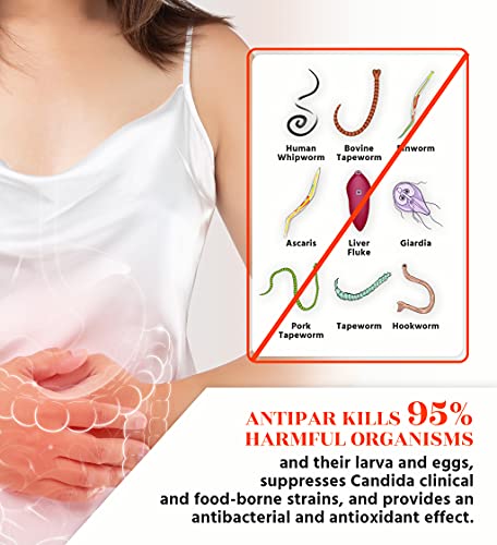 AntiPAR Intestinal Colon Cleanse Detox voor mensen - Bitter kauwtabletten voor mensen met alsem, zwarte walnoot en… - Image 4