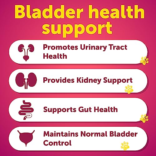 image for Artullano Dog UTI Treatment - Cranberry Supplement for Dogs - Bladder 