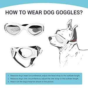 Petleso-Dog-Goggles-Medium-Breed-Dog-Sunglasses-for-Medium-Dogs-Eye-Protection-Windproof-Black - Cucciolini Doodles   Petleso-Dog-Goggles-Medium-Breed-Dog-Sunglasses-for-Medium-Dogs-Eye-Protection-Windproof-Black