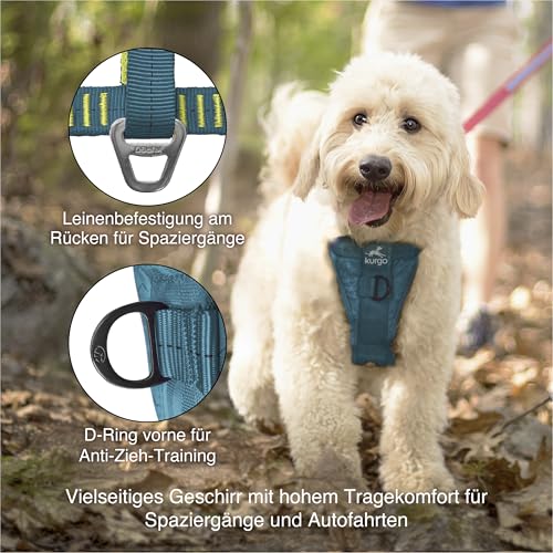 Kurgo TRU-Fit Hundegeschirr, Crash-Test-erprobtes Auto-Sicherheitsgurt, Für Hunde von 2 bis 5 kg, Größe M, Tinte Blau