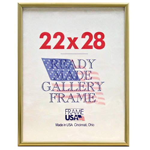 Frame USA 22x28 Deluxe Polystyrene Plastic Poster Frames (Gold), Made in America