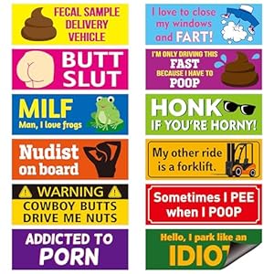 12pcs Funny Car Magnet, Prank Magnetic Bumper Deca