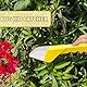 Fänger Gartenwerkzeug Insektenfalle Spinnenbienenclips Bieneninsektenclip Schnellverschluss Insektenfangwerkzeug Imkereiwerkzeuge Bienenfangwerkzeug Königin Der Fallen (Gelb)