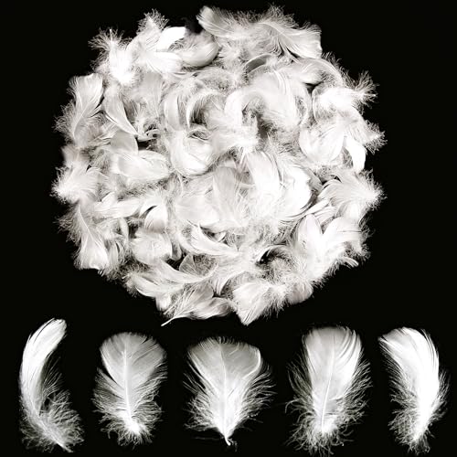 Lamar 300Pcs 2-3 White Feathers Bulk for Crafting Dream Catcher Accessories Art Projects DIY Crafting Handi Crafts Party Decoration (White)