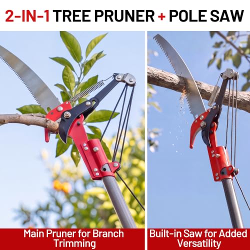Suchtale 10FT Pole Tree Pruner for High Branch Trimming with Saw - Image 2
