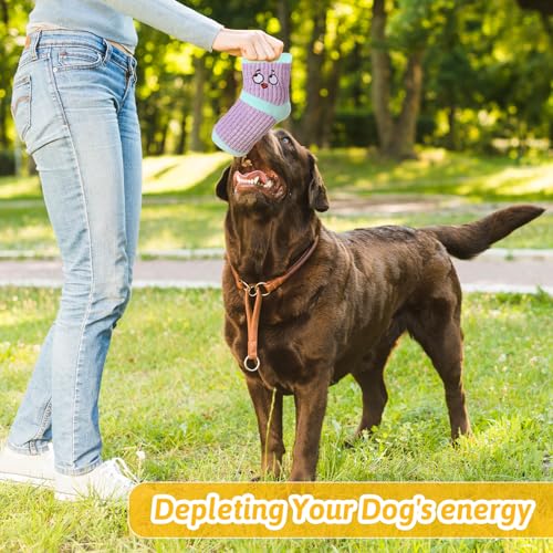 3 piezas juguete mordible para perros con sonido miniatura 6