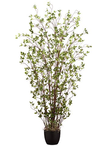 72" Mini Leaf Plant in Pot Green (pack of 1)