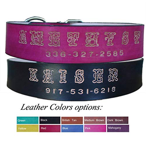 custom great dane collars