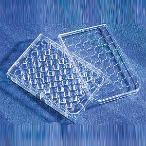 Greiner Bio-One 677970 Polystyrene Cell-Repellent Surface Plate with Lid, Sterile, Flat Bottom, Clear, 48 Well (Pack of 5)
